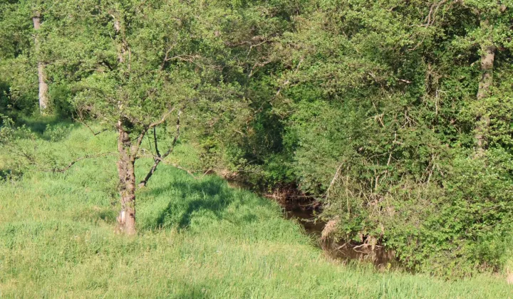 Działka rekreacyjna Dąbrowa Górnicza Błędów, ul. Turystyczna