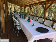 Działka leśna Anastazewo. Zdjęcie 2