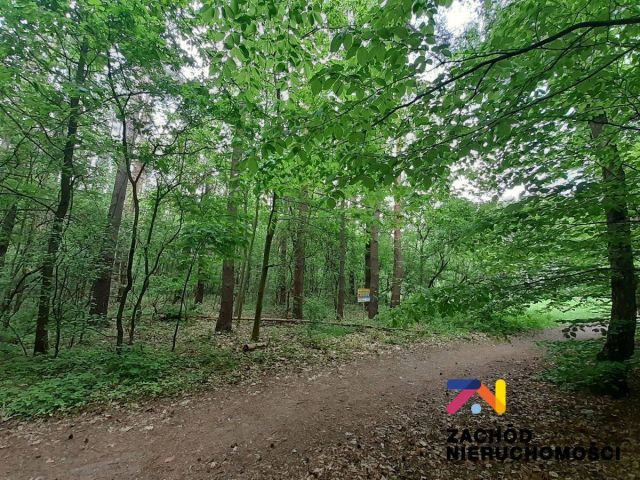 Działka budowlana Zielona Góra Stary Kisielin. Zdjęcie 4