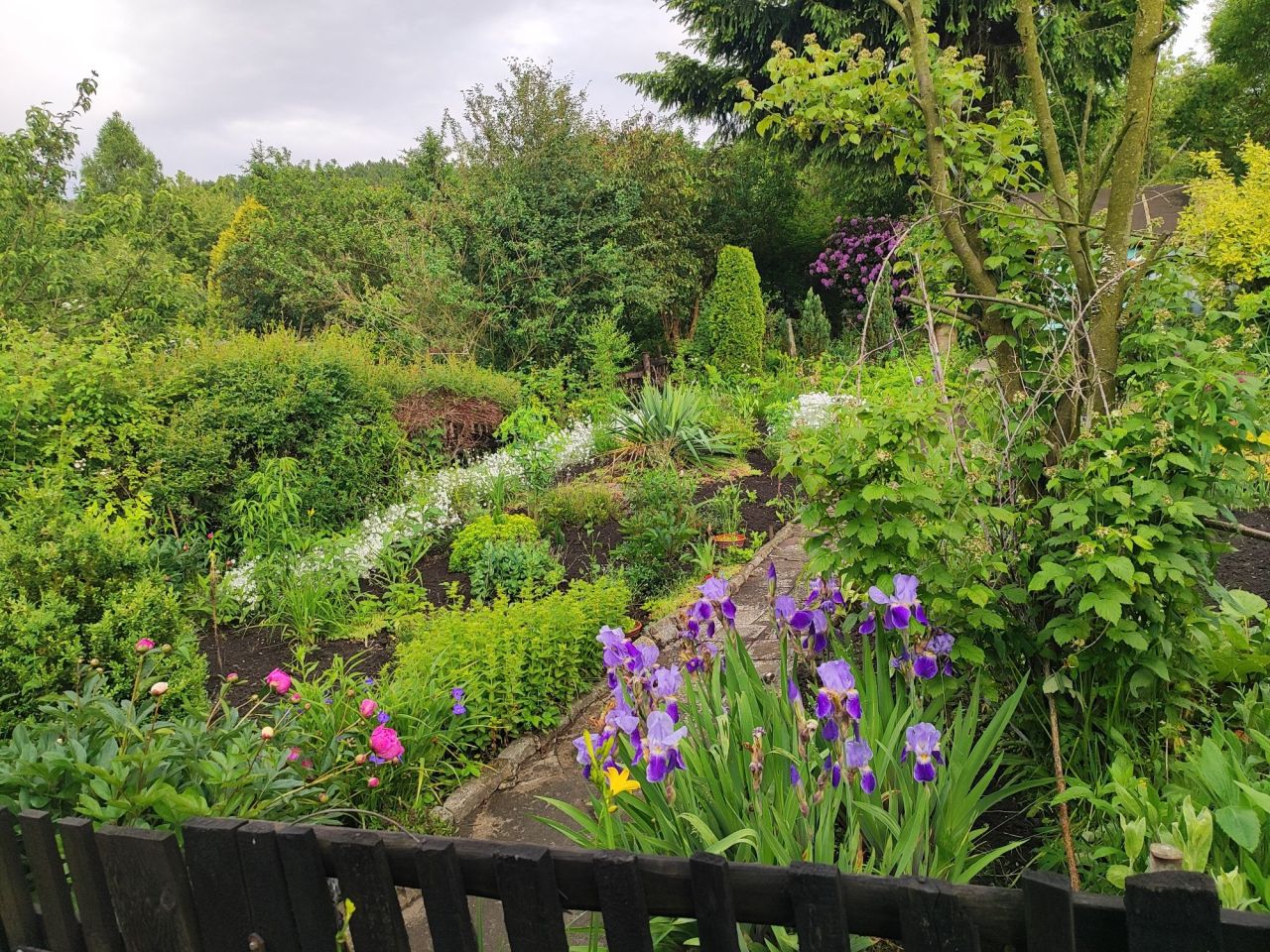 Działka rod Wałbrzych, ul. marsz. Józefa Piłsudskiego. Zdjęcie 4