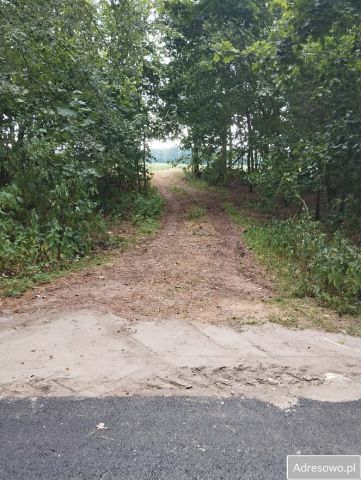 Działka rolna Chotynia. Zdjęcie 1