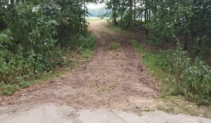 Działka rolna Chotynia