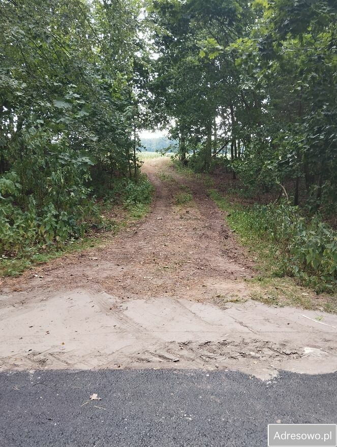 Działka rolna Chotynia