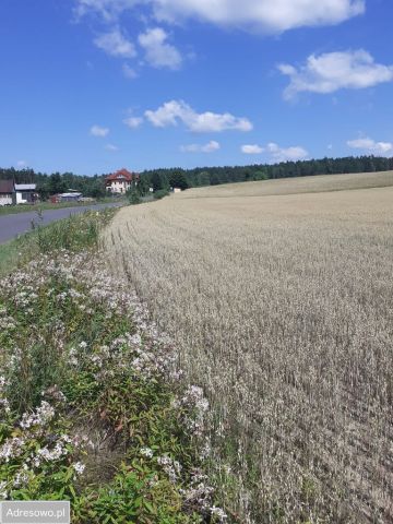 Działka budowlana Zdroje. Zdjęcie 1