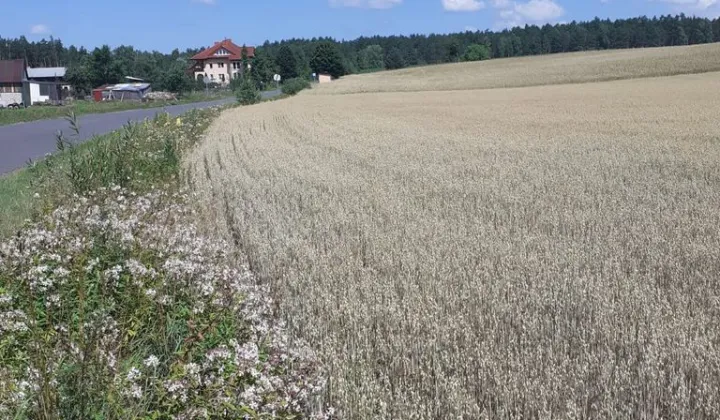 Działka budowlana Zdroje