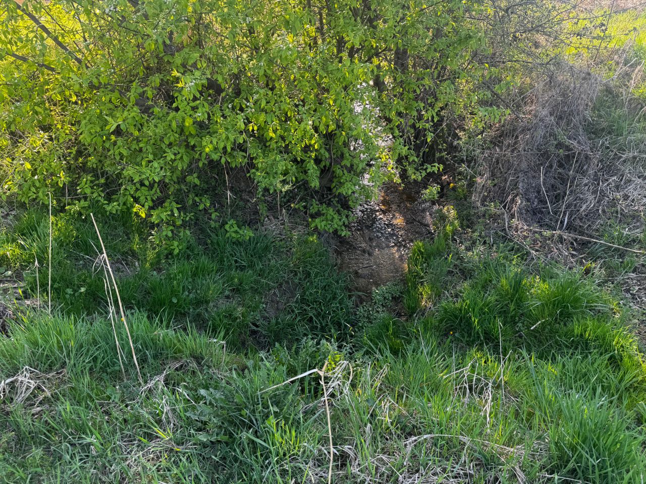 Działka rolno-budowlana Błędowa Zgłobieńska. Zdjęcie 13