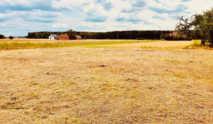 Działka budowlana Żabiniec