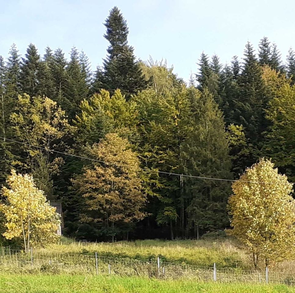 Działka budowlana Żywiec. Zdjęcie 5