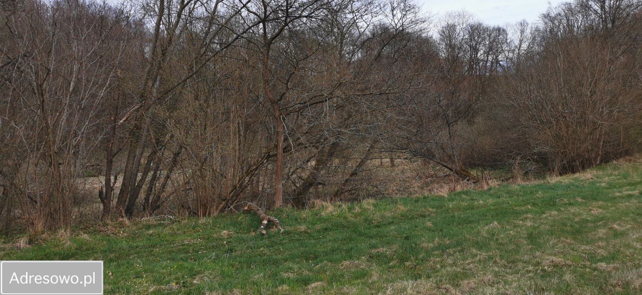 Działka inwestycyjna Drzewiany. Zdjęcie 3
