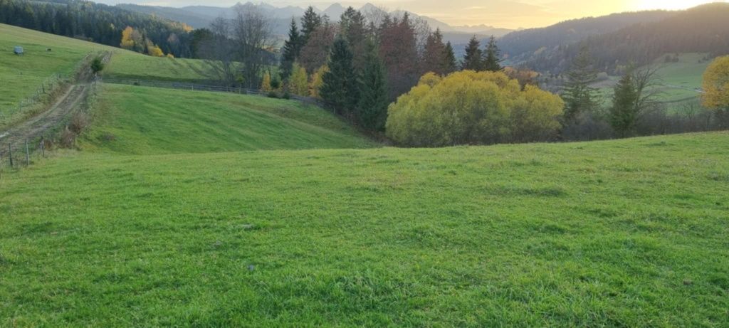 Działka rolna Nowy Targ. Zdjęcie 4