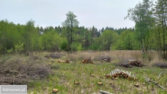 Działka budowlana Pilawa, ul. Jana Kochanowskiego. Zdjęcie 1