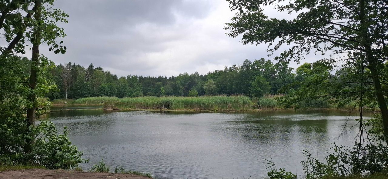 Mieszkanie 3-pokojowe Baniocha. Zdjęcie 5