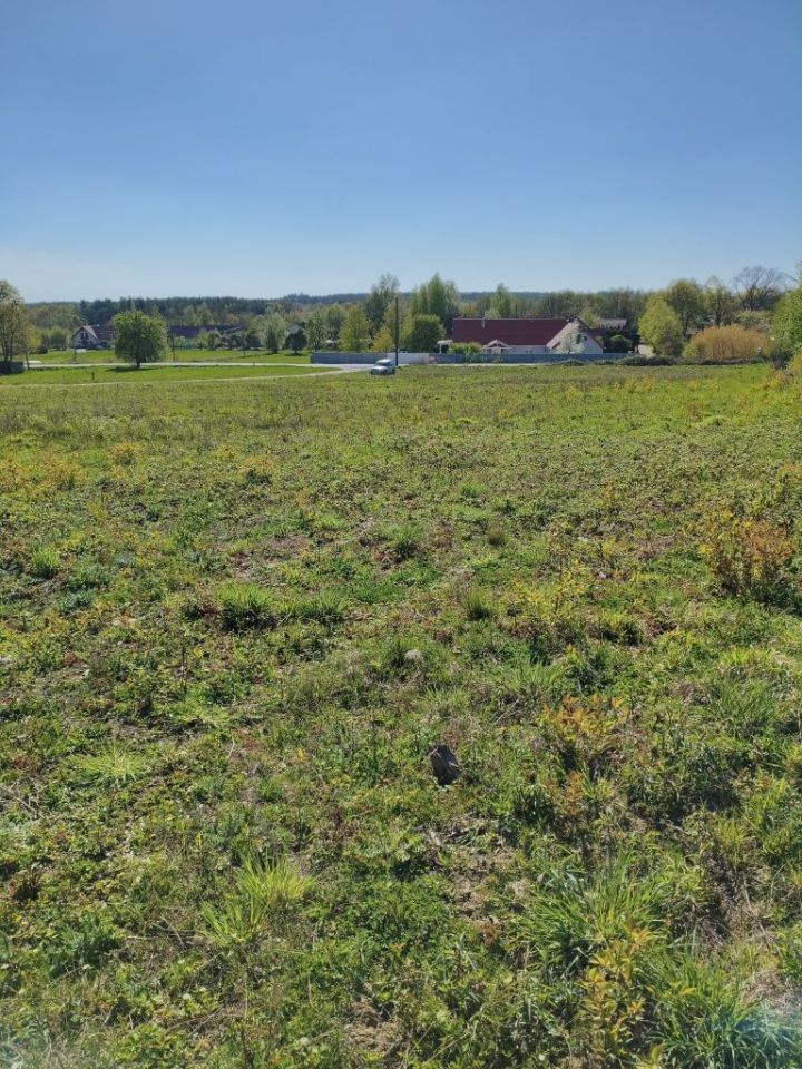 Działka budowlana Morzęcin Wielki. Zdjęcie 1