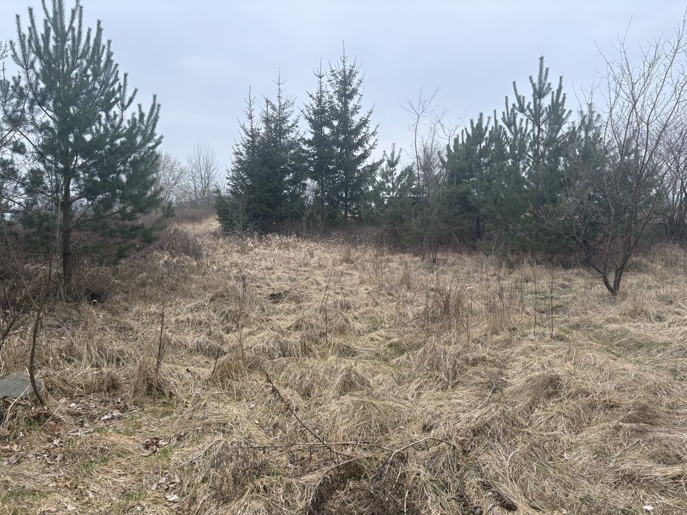 Działka budowlana Lubieniów. Zdjęcie 2