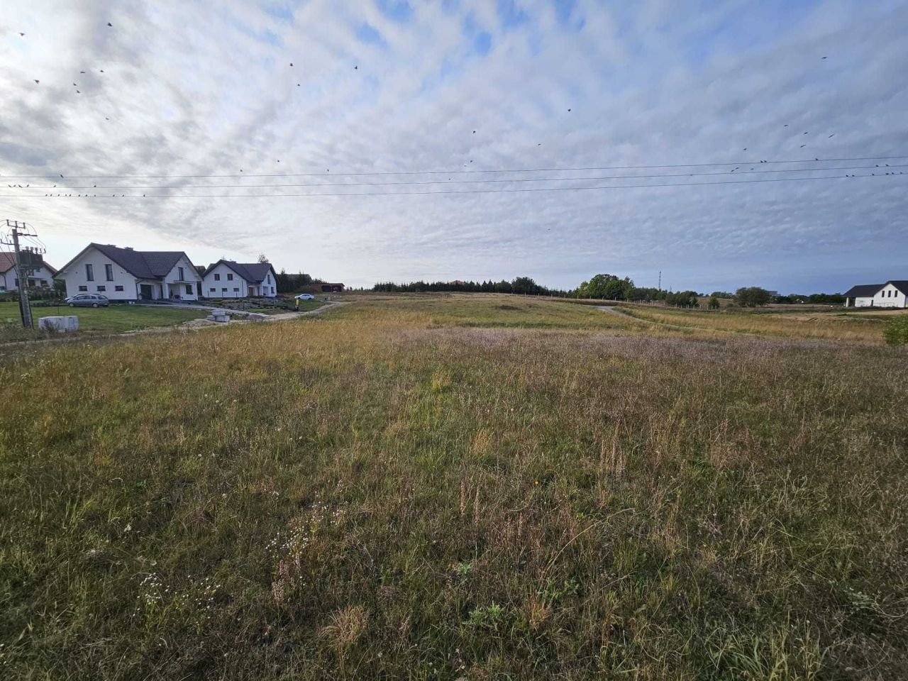 Działka siedliskowa Olsztynek. Zdjęcie 7