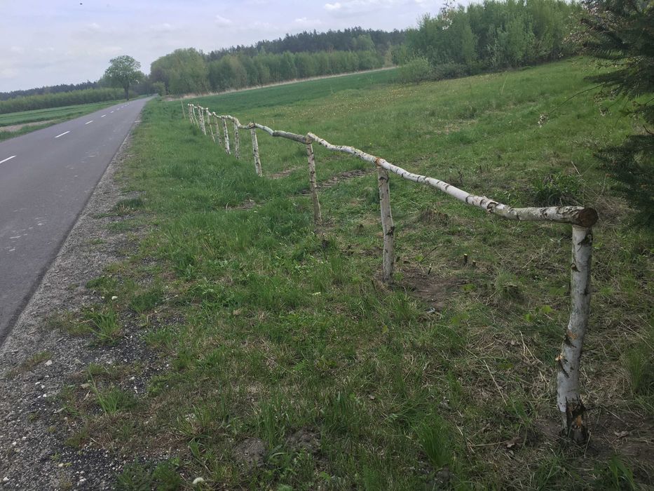 Działka rolna Soborzyce. Zdjęcie 4