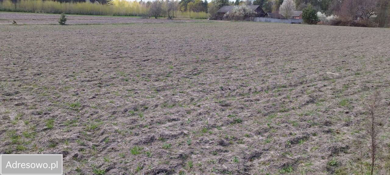 Działka budowlana Maksymilianów. Zdjęcie 5