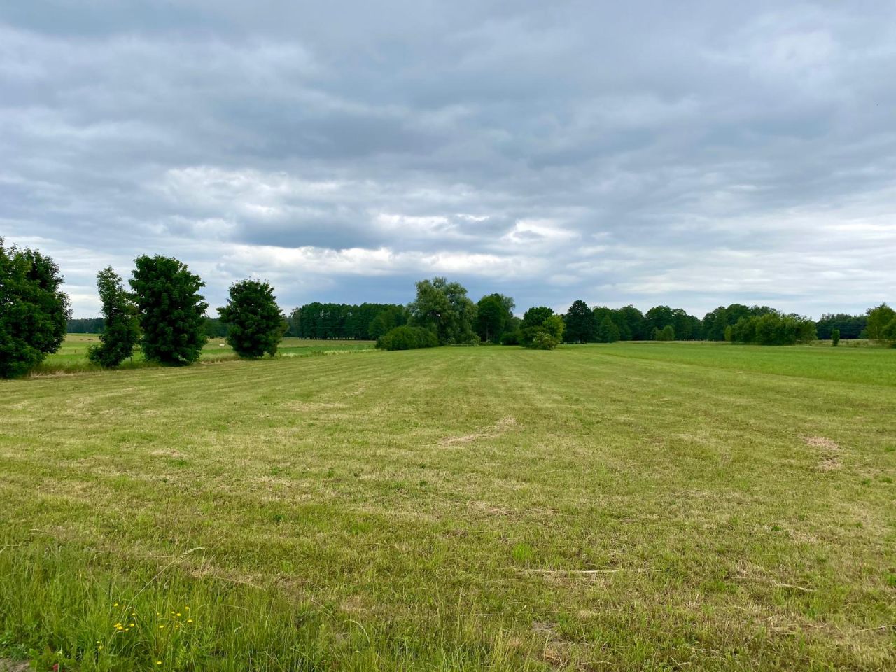 Działka rolno-budowlana Dąbrowy. Zdjęcie 5