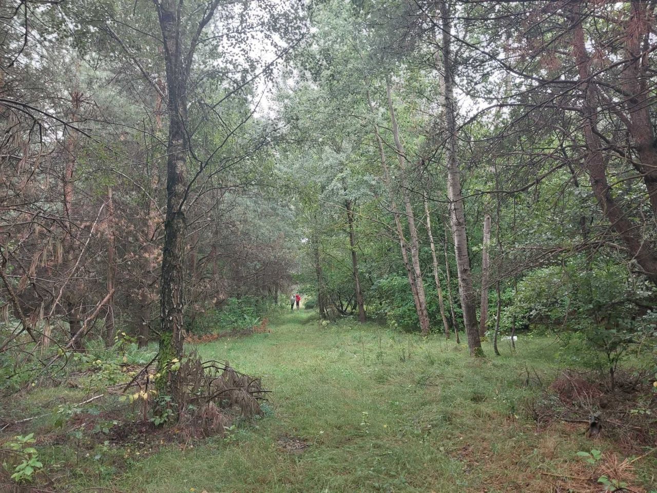 Działka rolna Horoszki Duże. Zdjęcie 7