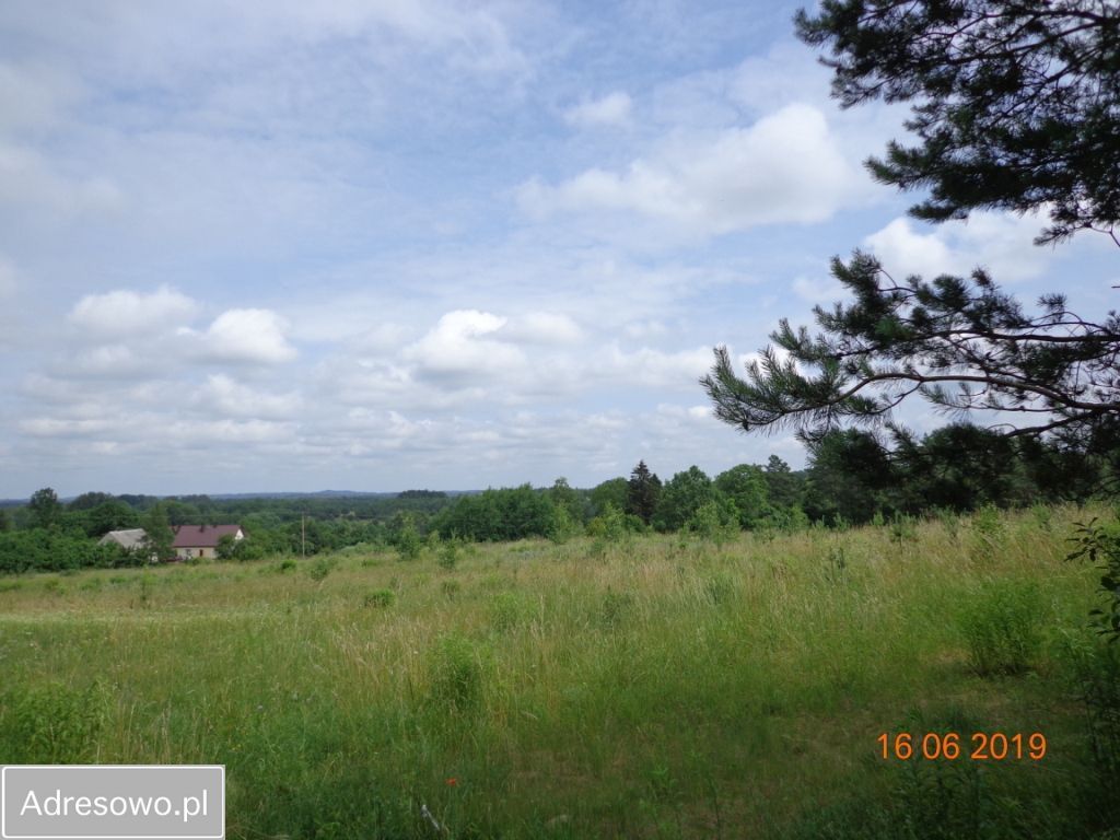 Działka rekreacyjna Cierzpięty. Zdjęcie 9