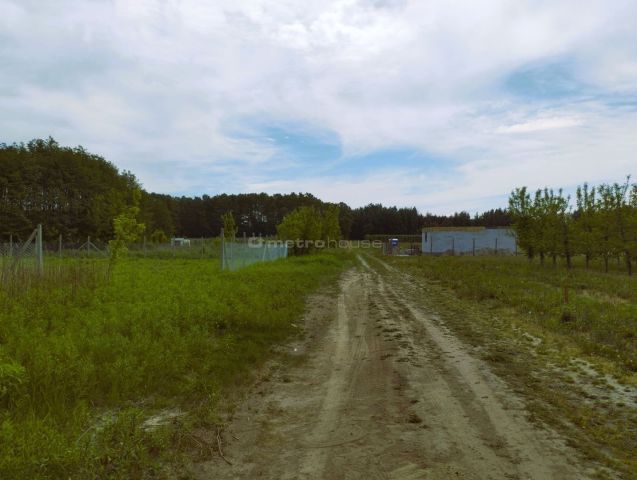 Działka budowlana Barcice Drwalewskie. Zdjęcie 6