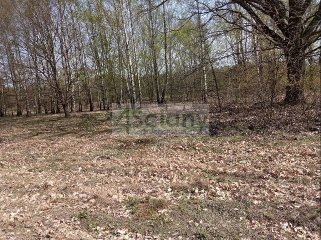 Działka budowlana Jasienica. Zdjęcie 12