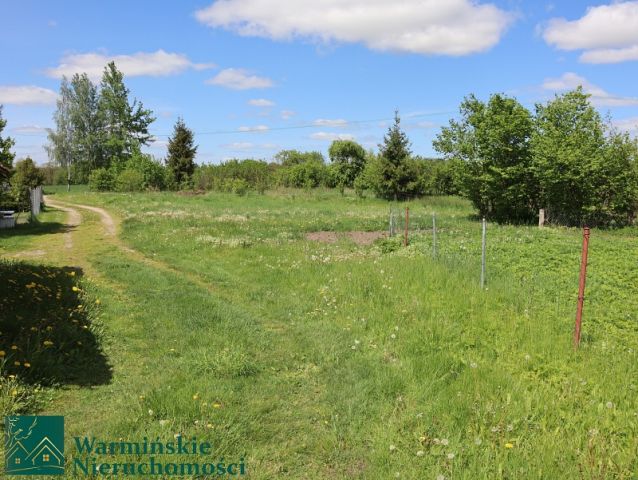 bliźniak Wirwilty. Zdjęcie 7