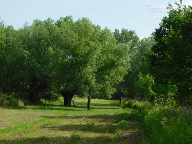 Działka budowlana Szymanów. Zdjęcie 2