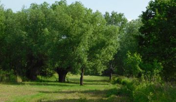 Działka budowlana Szymanów