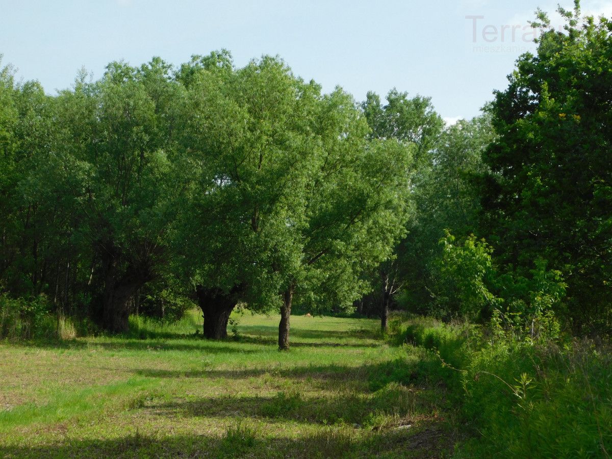 Działka budowlana Szymanów. Zdjęcie 2