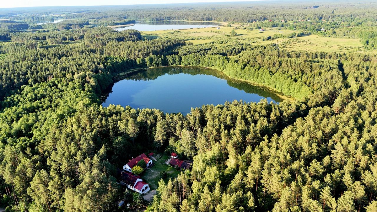 siedlisko Lipowo Kurkowskie. Zdjęcie 7