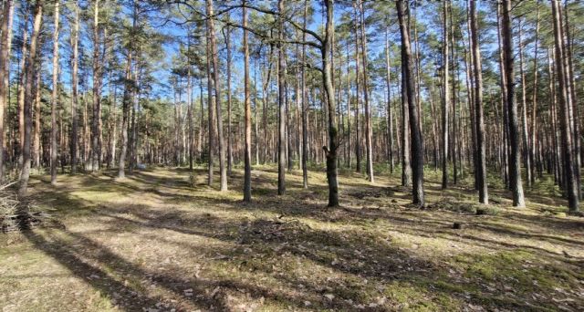 Działka rekreacyjna Osiedle Wilga. Zdjęcie 1