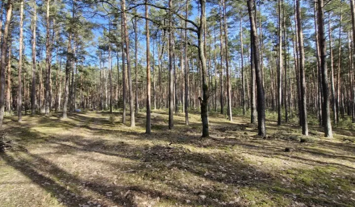 Działka rekreacyjna Osiedle Wilga