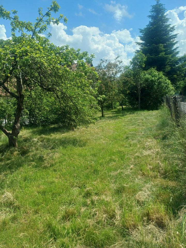 Działka Sienna. Zdjęcie 8