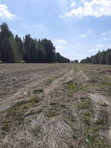 Działka rolna Wszebory, ul. Wąska. Zdjęcie 1