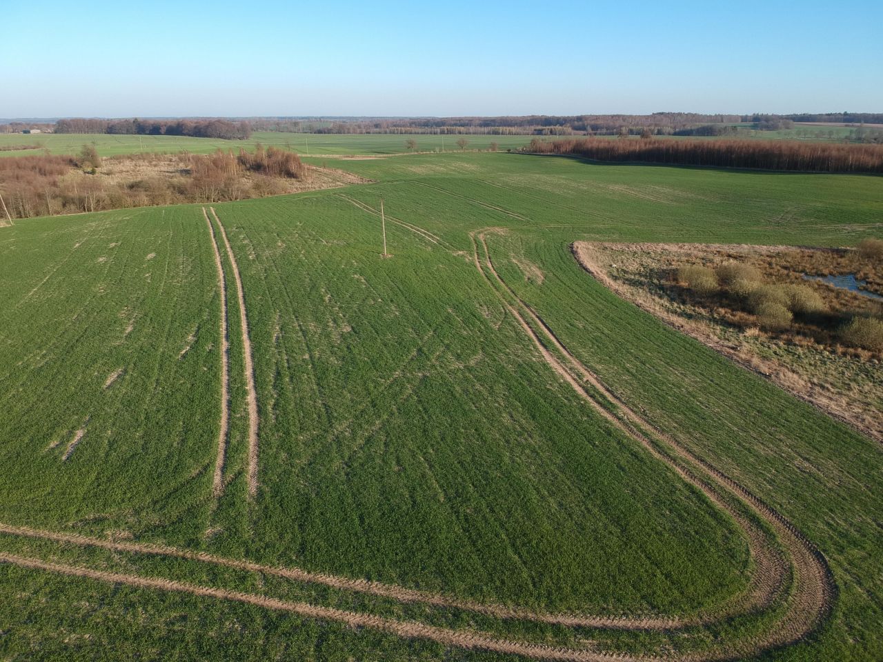 Działka siedliskowa Słajkowo. Zdjęcie 6