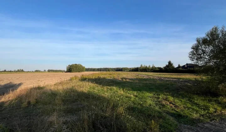 Działka rolno-budowlana Golice, ul. Leśna