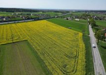 Działka inwestycyjna Gogolin Strzebniów. Zdjęcie 3