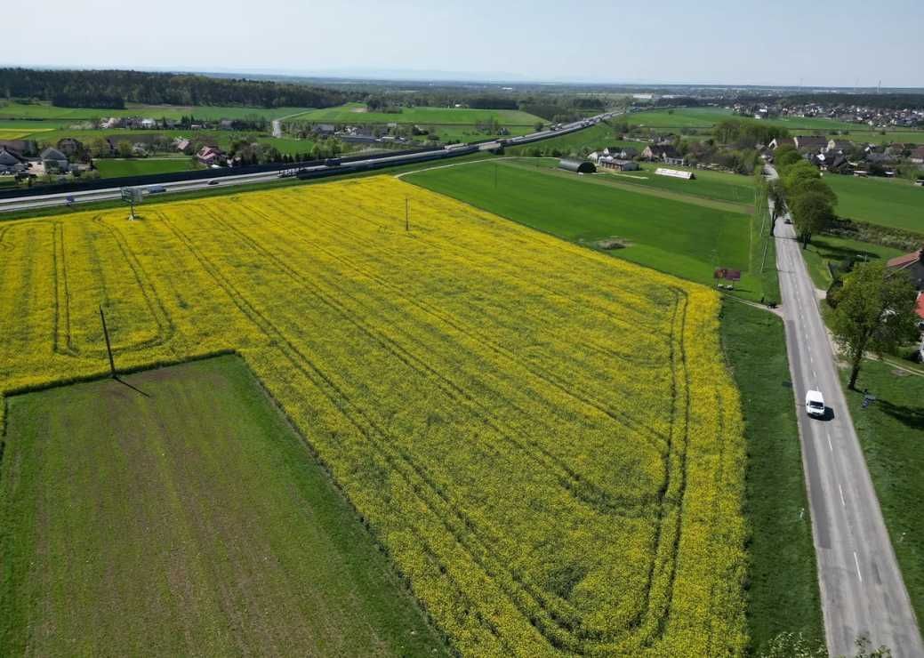 Działka inwestycyjna Gogolin Strzebniów. Zdjęcie 4