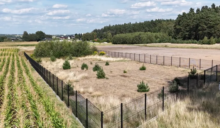 Działka budowlana Wolica