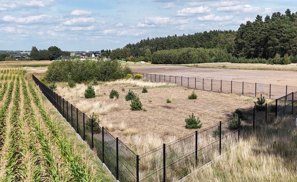 Działka budowlana Wolica