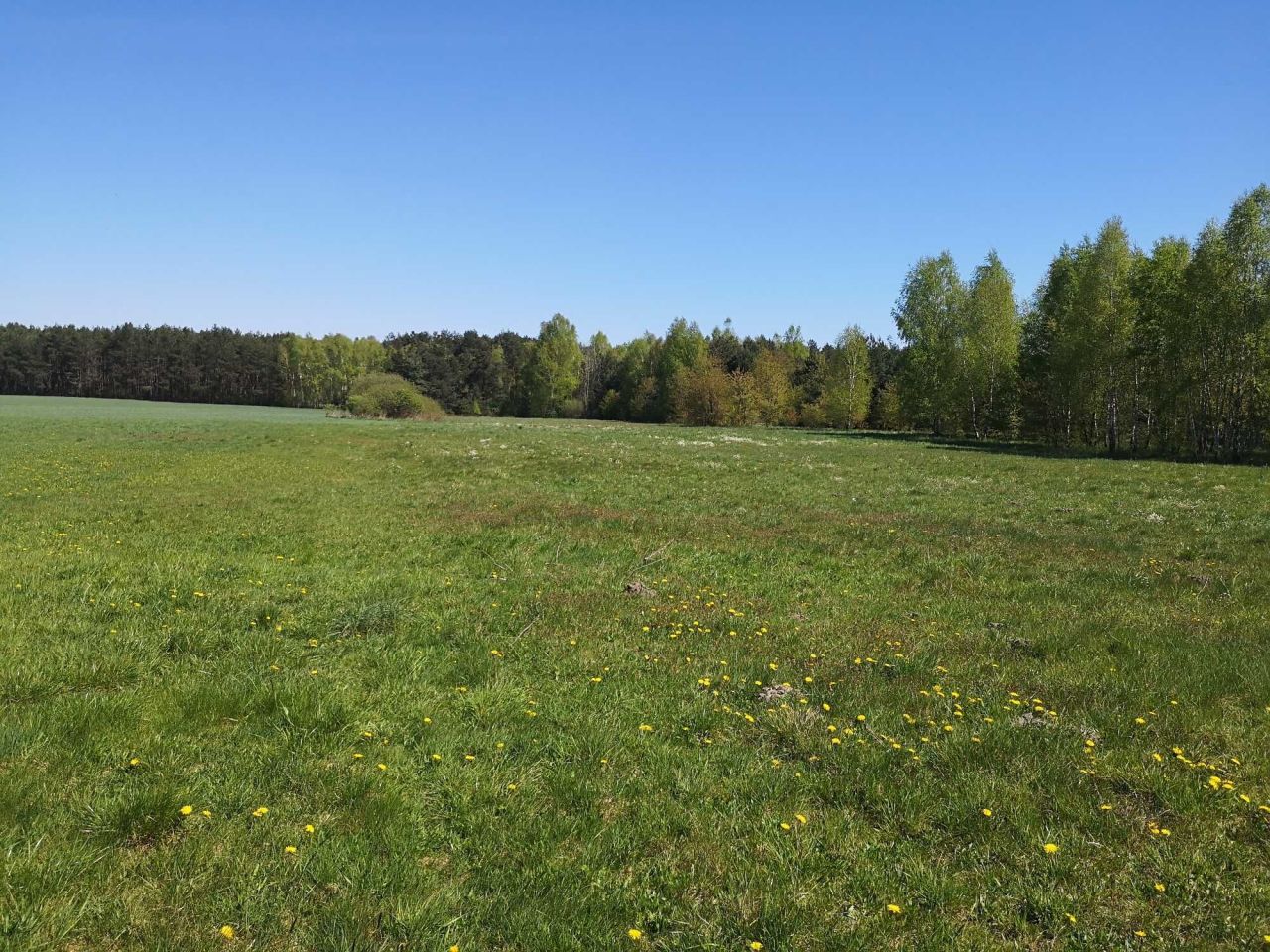 Działka rolno-budowlana Jasionka. Zdjęcie 3