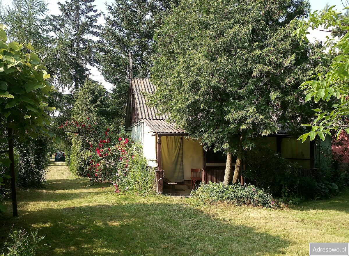 Działka siedliskowa Wolica. Zdjęcie 2