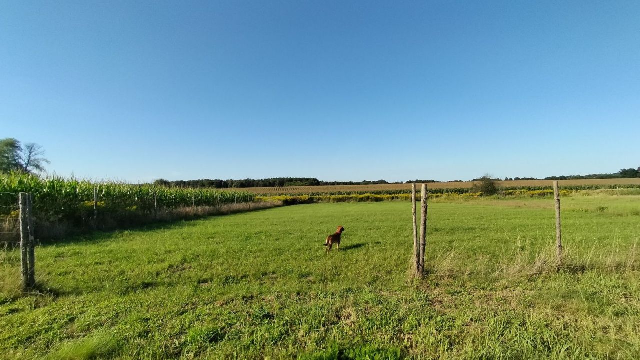 Działka budowlana Ziemiełowice. Zdjęcie 3