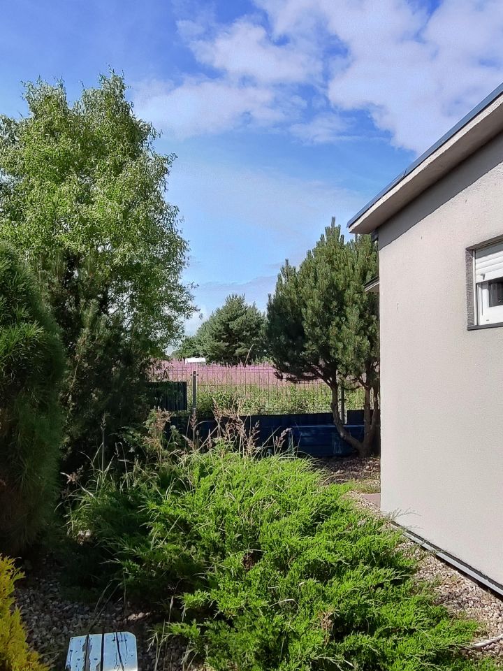 Działka rekreacyjna Śliwin, Śliwin. Zdjęcie 14