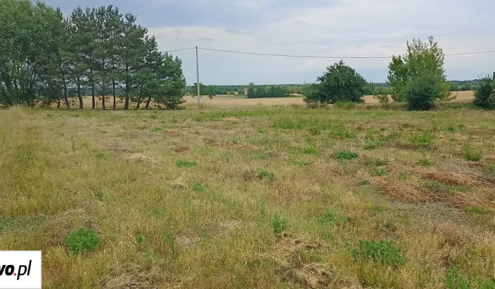 Działka rolno-budowlana Grabowiec