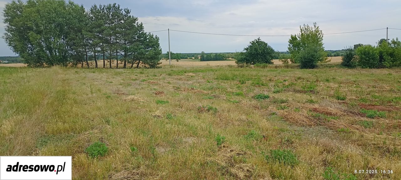 Działka rolno-budowlana Grabowiec. Zdjęcie 1