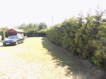 Działka budowlana Brdów. Zdjęcie 1