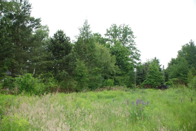 Działka budowlana Rozalin, ul. Młochowska. Zdjęcie 1