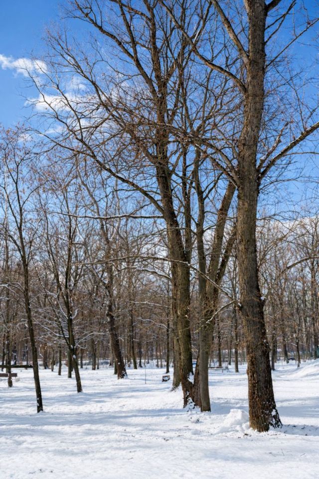 Mieszkanie 2-pokojowe Warszawa Bemowo, ul. Obrońców Tobruku. Zdjęcie 13